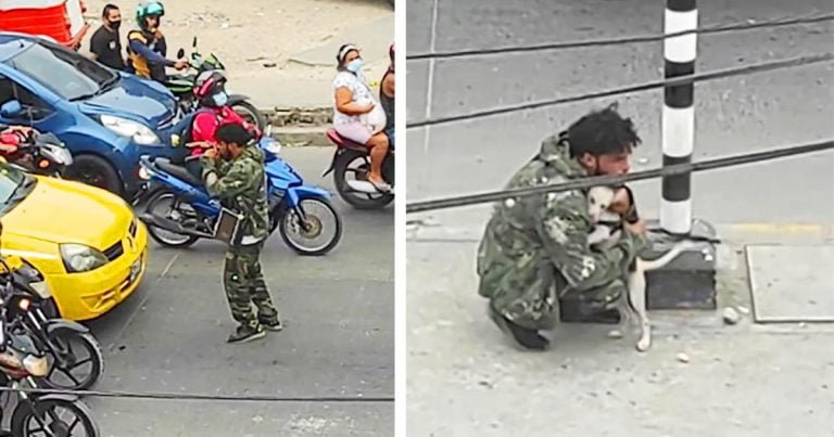 Perrita consuela a un artista callejero que lucha por obtener algunas monedas