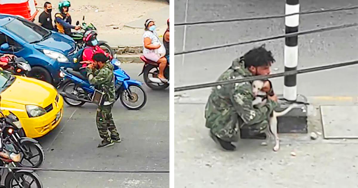 Perro consuela a un artista callejero que lucha después de que nadie le ofrece alguna moneda