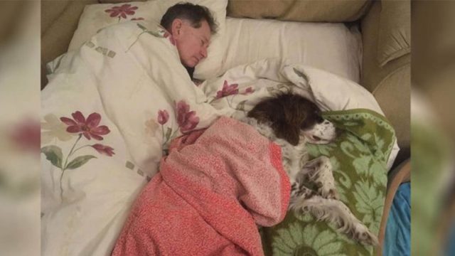 Papá duerme con un perro mayor