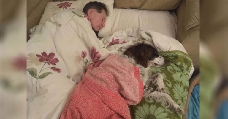 Papá duerme con un perro mayor