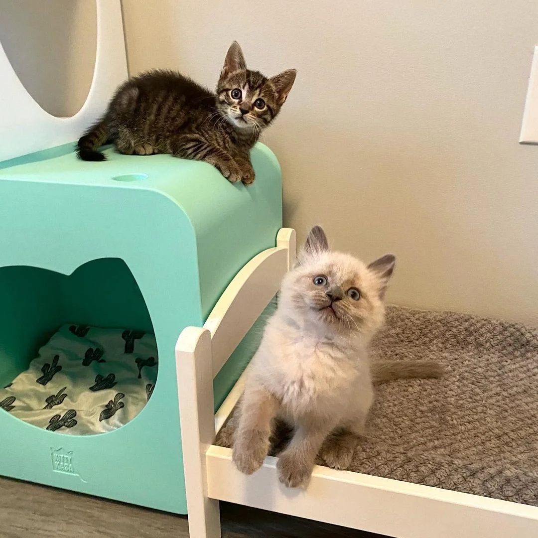 Quentin and Tina Quentin and Tina