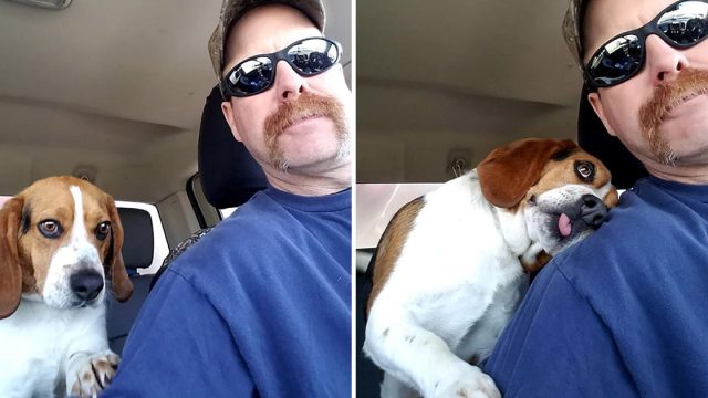 Beagle está tan agradecido de ser salvado