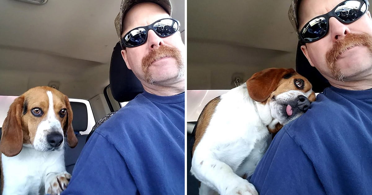 Beagle está tan agradecido de ser salvado