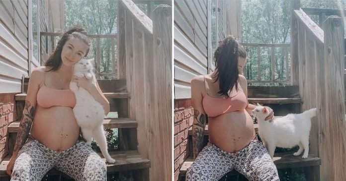 Mujer y una gata sin hogar embarazada