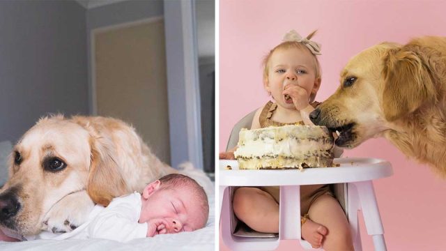 Niña y su Golden Retriever ganan corazones gracias a adorables fotos