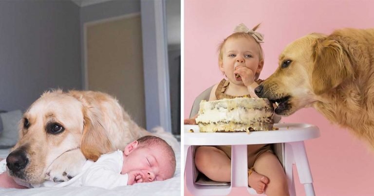 Niña y su Golden Retriever ganan corazones gracias a las adorables fotos que celebran su vínculo