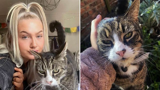 Mujer preocupada por sed excesiva de su gato