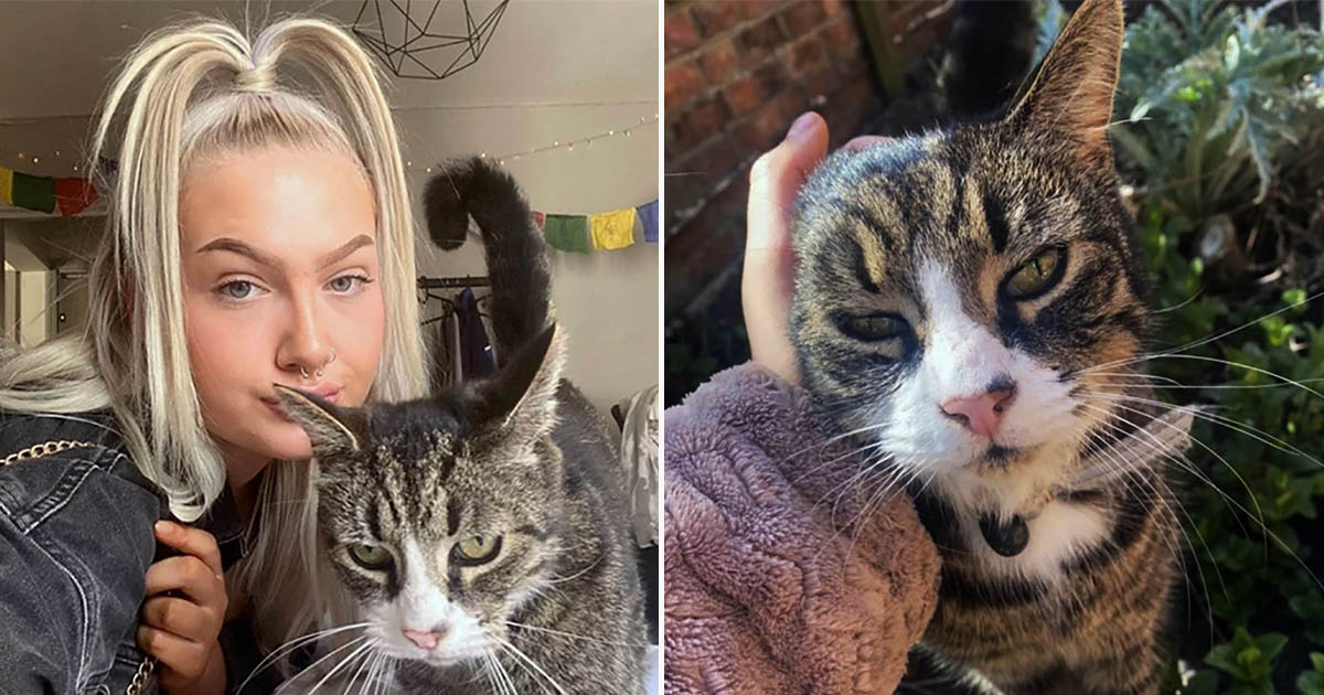 Mujer preocupada por sed excesiva de su gato