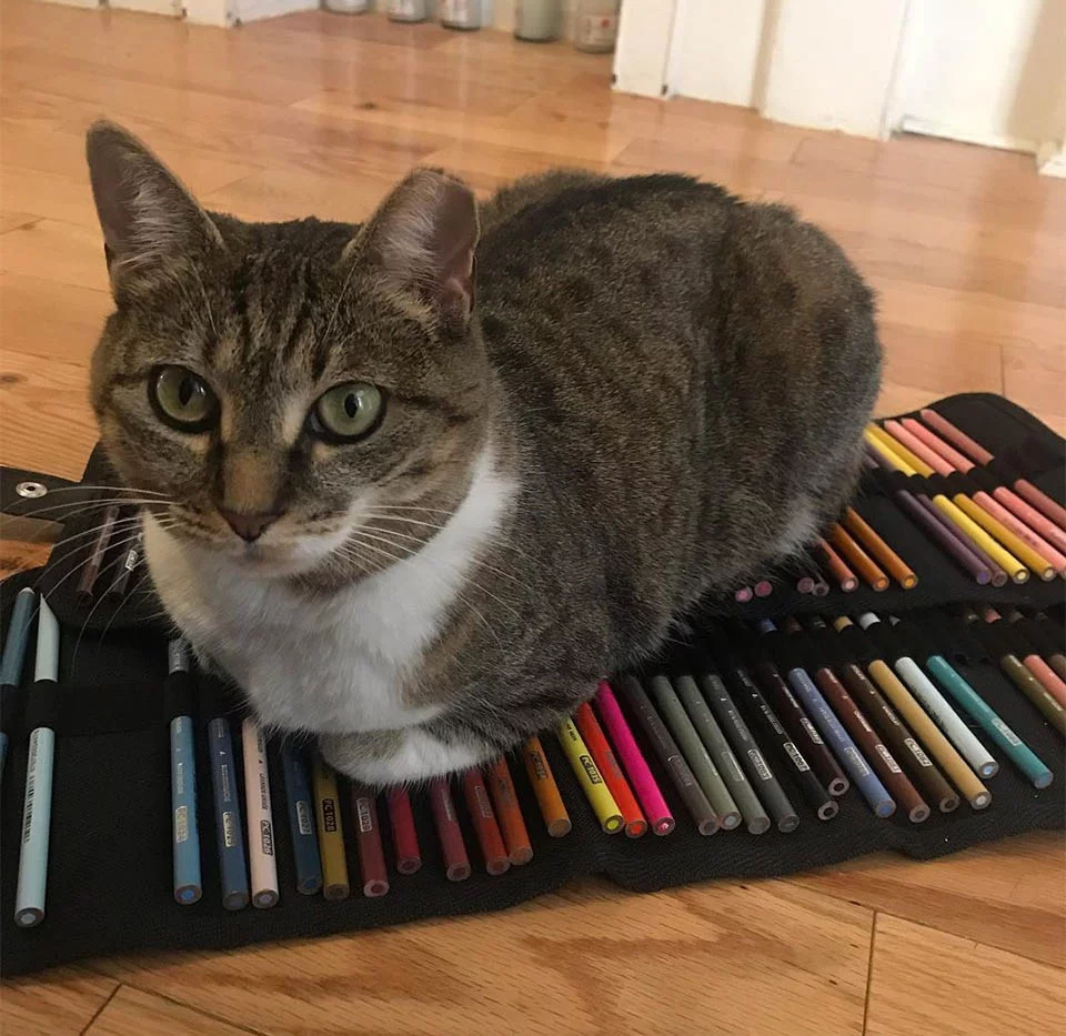 Vida nueva de Chunk Chunk