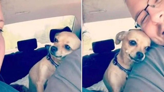 Perrita le hace saber a su madre que su esposo no le pertenece a ella