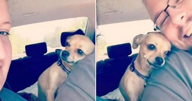 Perrita le hace saber a su madre que su esposo no le pertenece