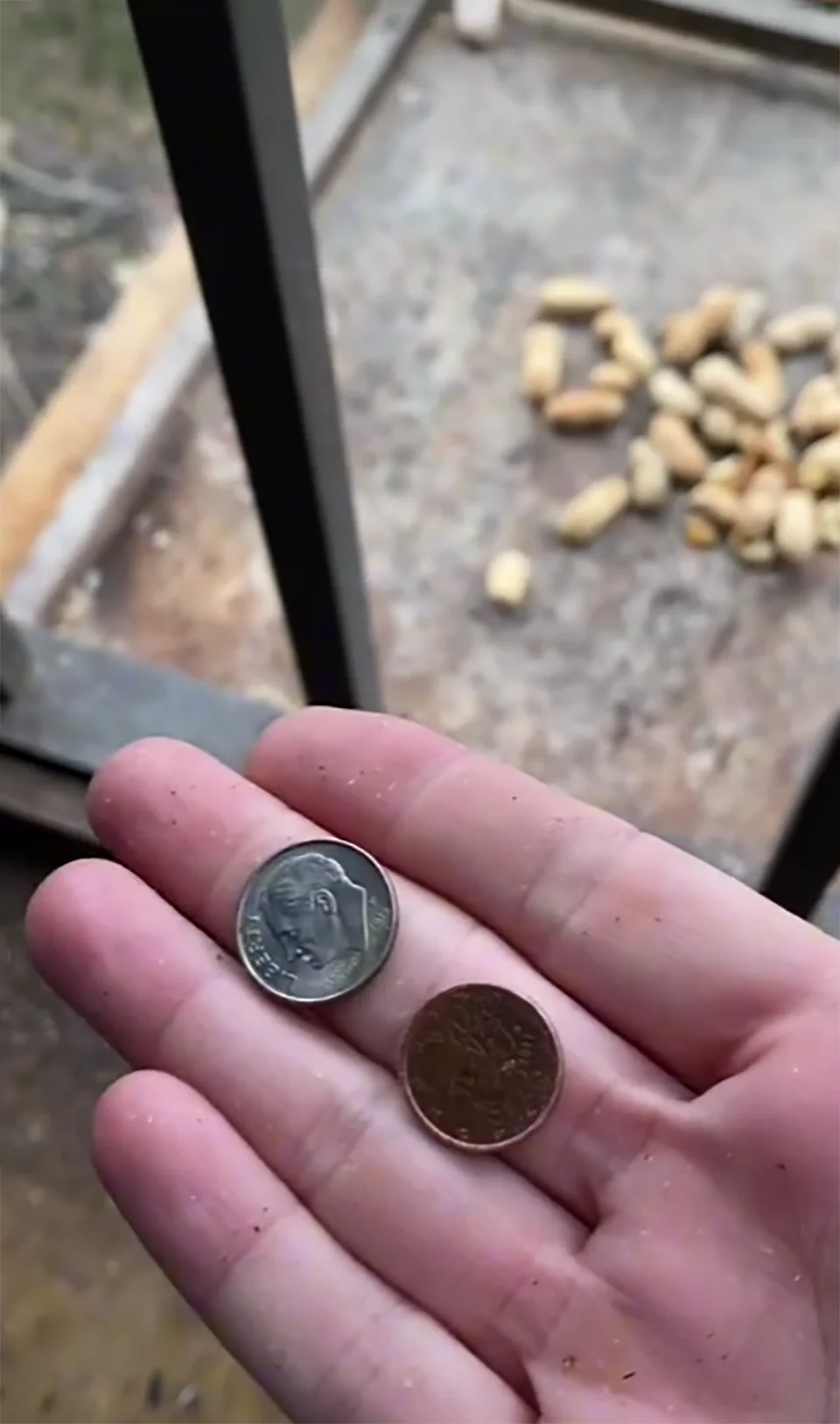 Cuervos le pagan a una mujer