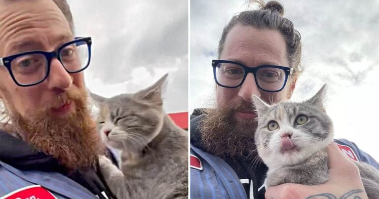 Gatita sin hogar ve a un buen hombre e inmediatamente salta a sus brazos