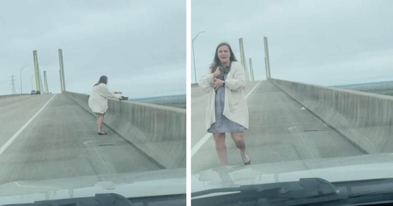 Mujer ve a una gatita diminuta al borde de un puente y entra en acción