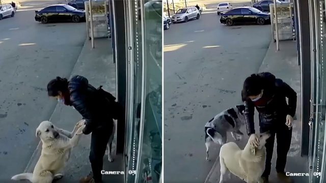 Cámara capta a una mujer agradable