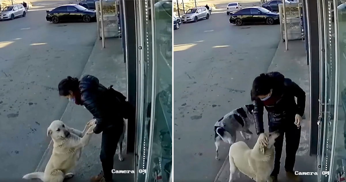 Cámara capta a una mujer agradable
