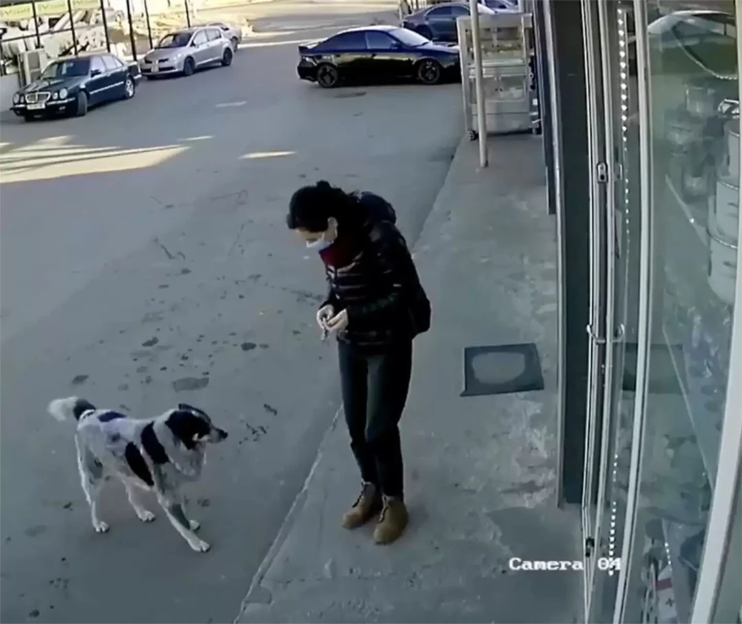 Cámara capta una mujer