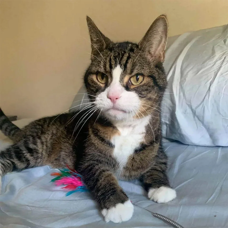 Granpruno en su hogar