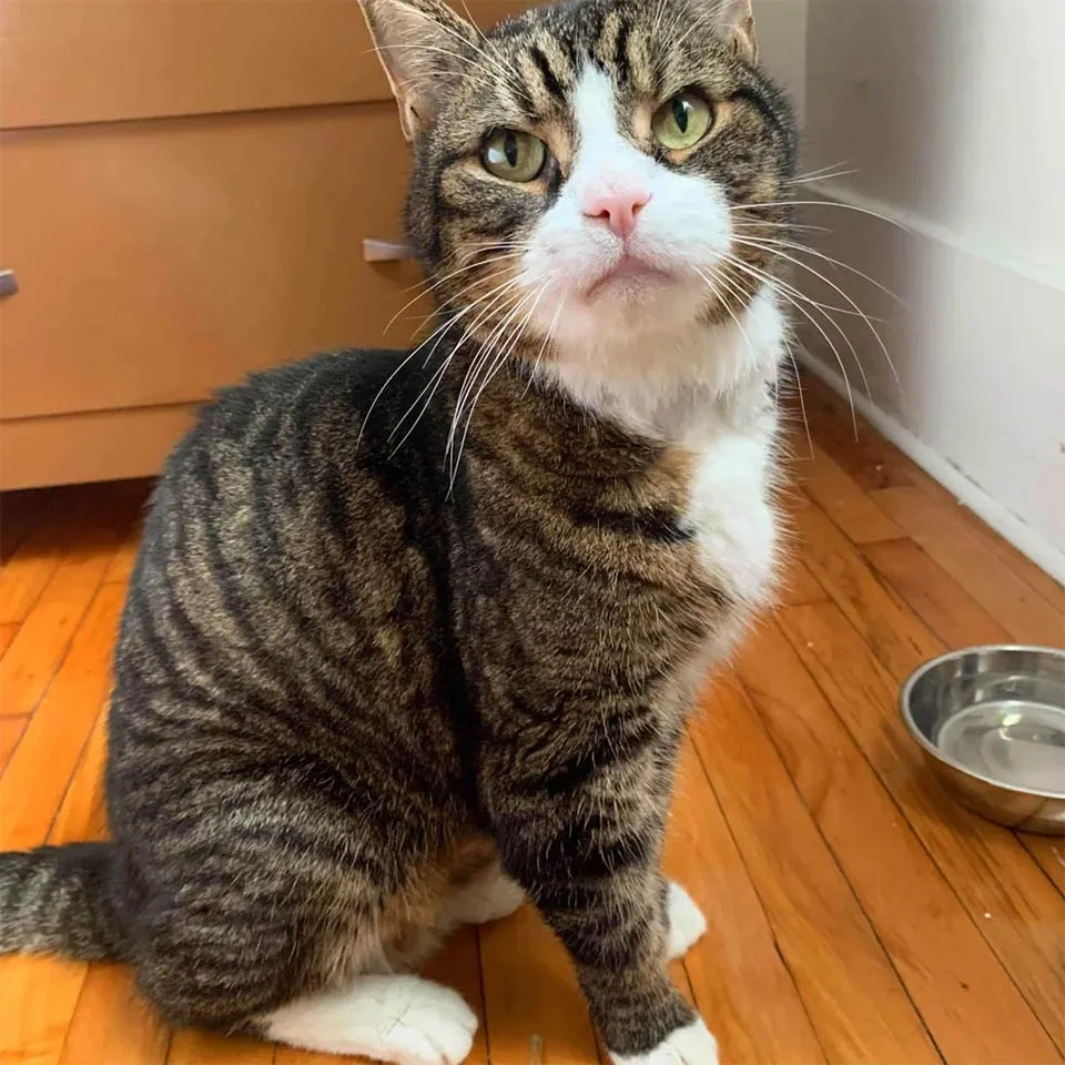 Granpruno recibe comida