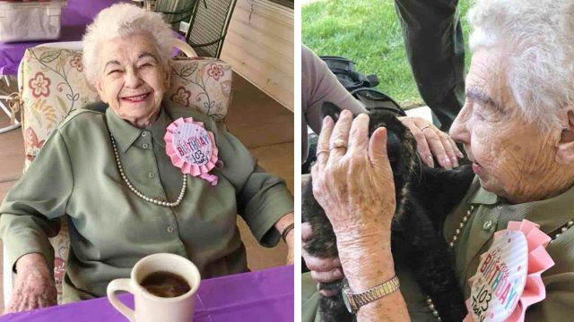 Mujer de 103 años recibe dulce sorpresa de cumpleaños: un gato que necesita un hogar