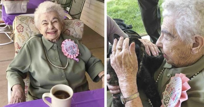 Mujer de 103 años recibe dulce sorpresa de cumpleaños: un gato que necesita un hogar