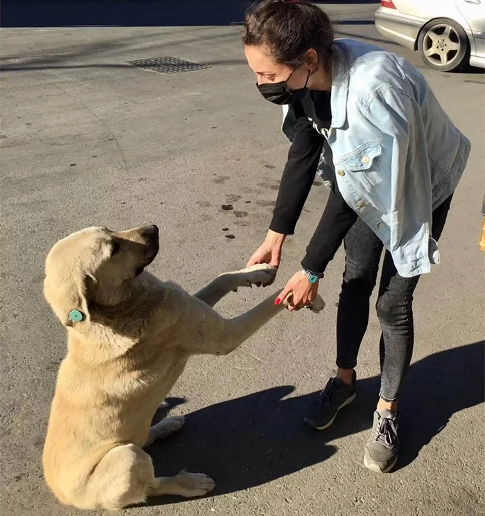Mujer saluda perrito
