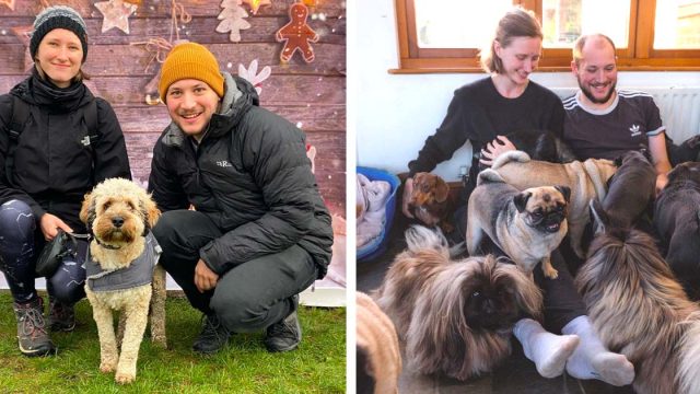 Pareja renunció trabajos convertirse cuidadores mascotas