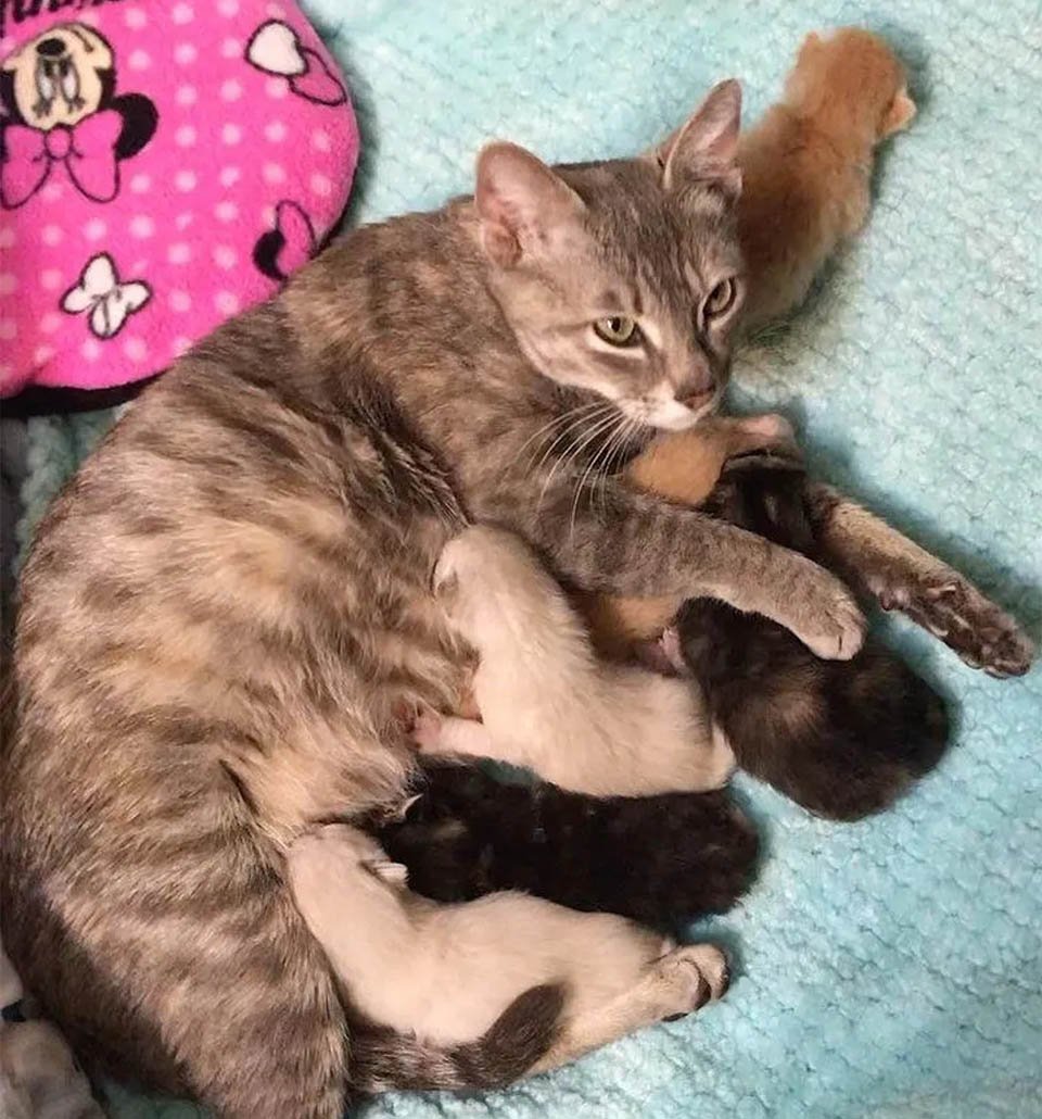 Valentina cuidando bebés