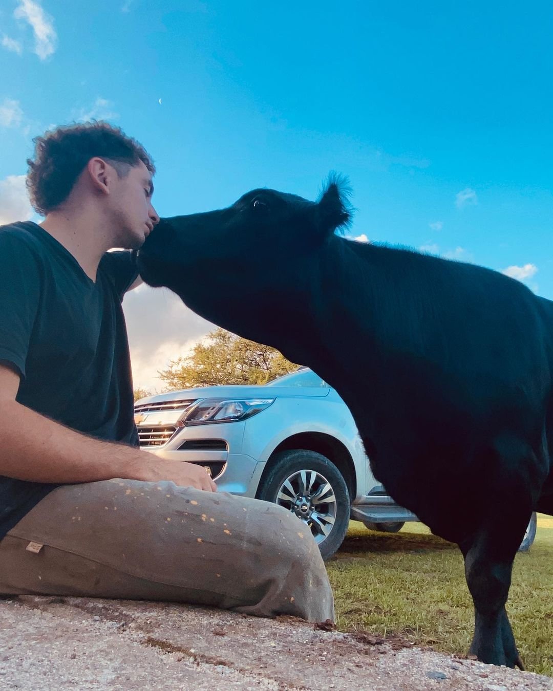 Adorable vaca y un joven