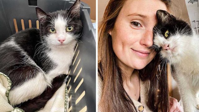 Gata agradece a la mujer que le abrió sus puertas después de haber vivido afuera toda su vida