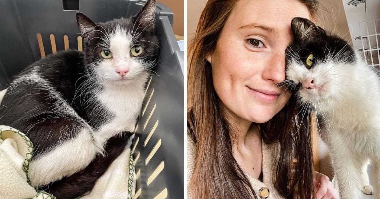 Gata agradece a la mujer que le abrió sus puertas después de haber vivido afuera toda su vida