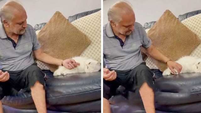 Papá a quien no le gustan los gatos se vuelve inseparable con el que su hijo trajo a casa