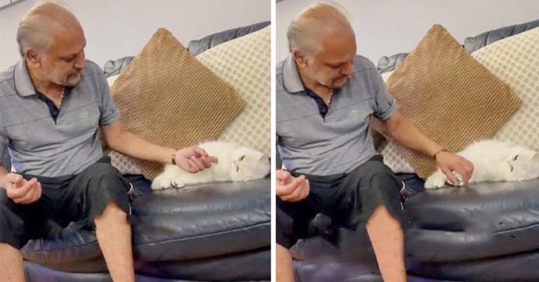 Papá a quien no le gustan los gatos se vuelve inseparable con el que su hijo trajo a casa