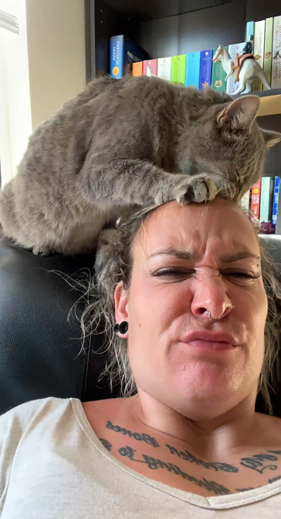 Gata se cuela en la casa de esta mujer todas las mañanas para 'arreglar' su cabello 2 Gata se cuela en la casa de un extraño para arreglar su cabello