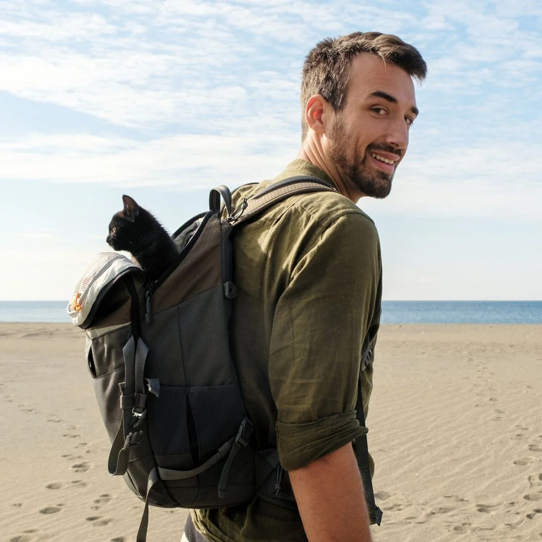 Gatita en la mochila