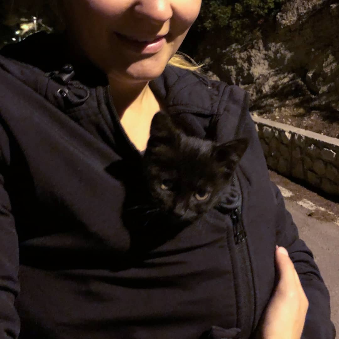 Gatita llegó corriendo hacia una pareja que viajaba y les pidió que la llevaran con ellos 1 Gatita llegó corriendo hacia una pareja