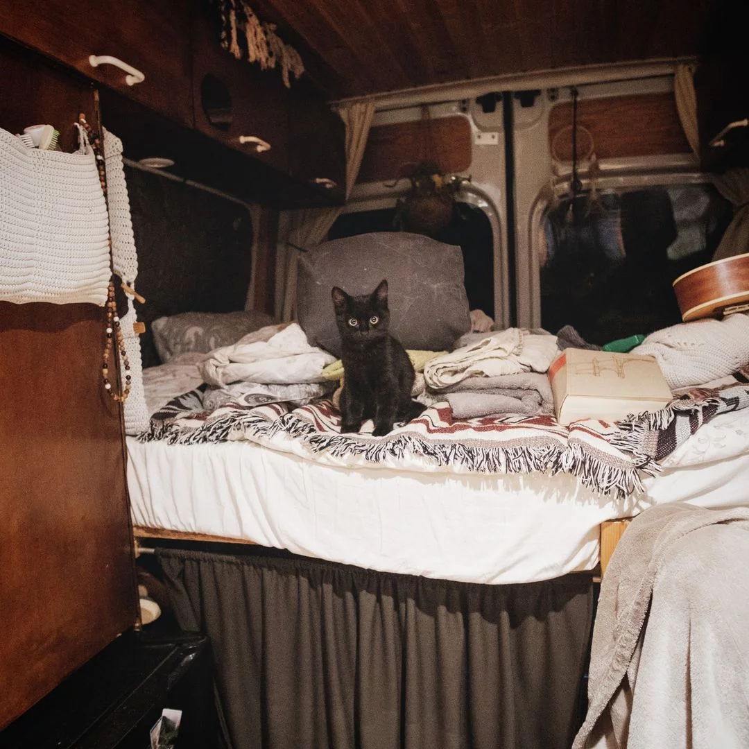 Hermosa gatita negra en la cama