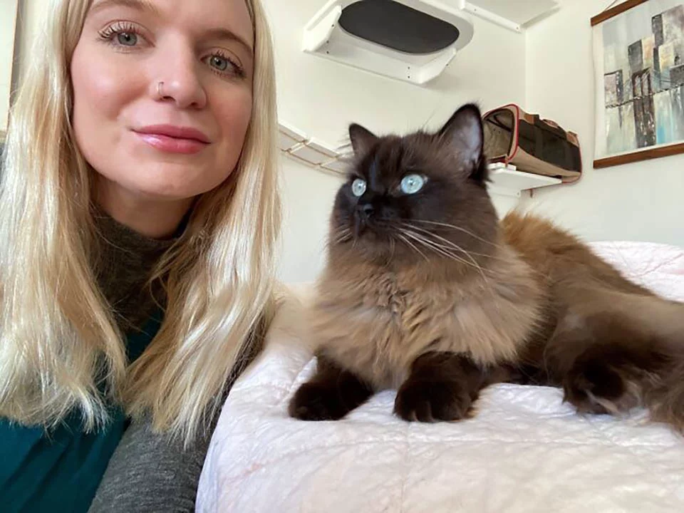 Mujer cuida a los gatos de otras personas mientras viaja