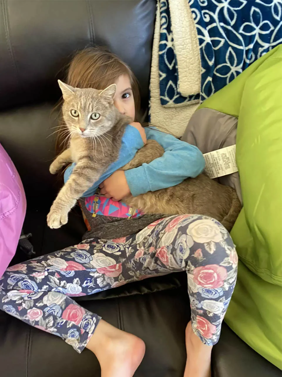 Gata se cuela en la casa de esta mujer todas las mañanas para 'arreglar' su cabello 4 Niña y su gato