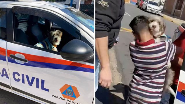 Este niño con el corazón roto está encantado de reunirse con su perro desaparecido
