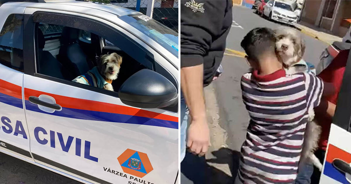Este niño con el corazón roto está encantado de reunirse con su perro desaparecido