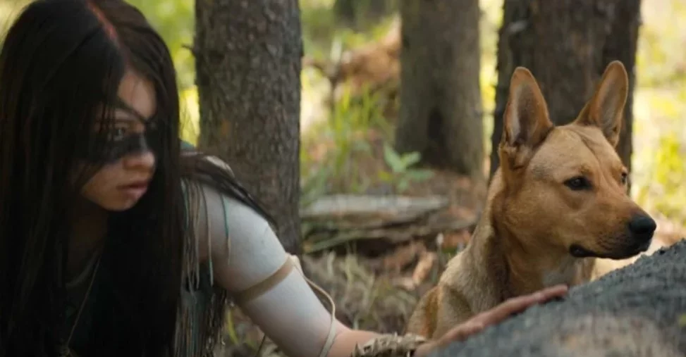 Coco en una película