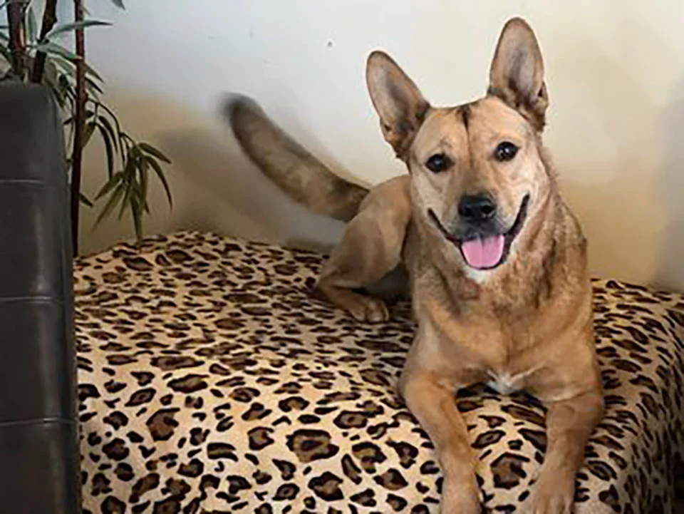 Coco feliz