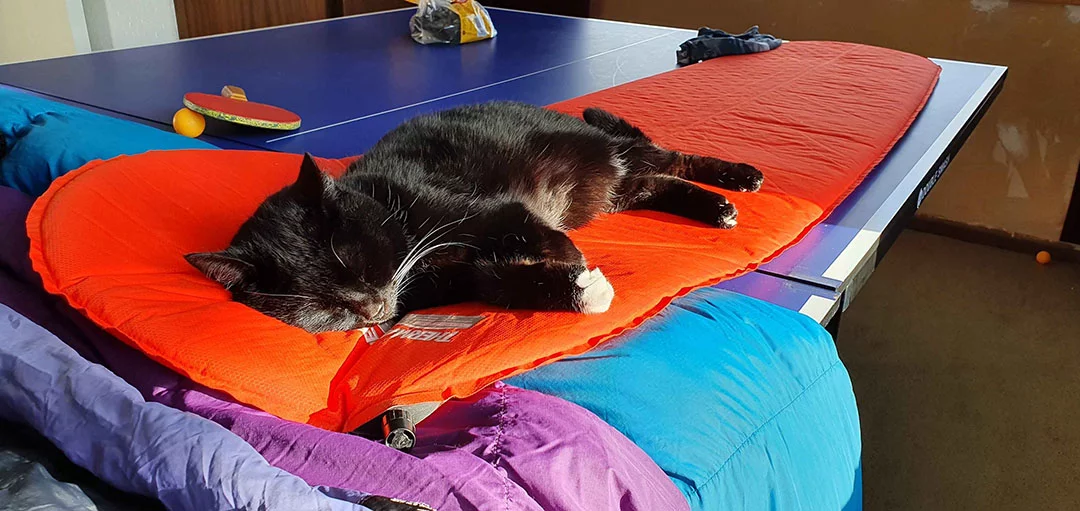 Coco