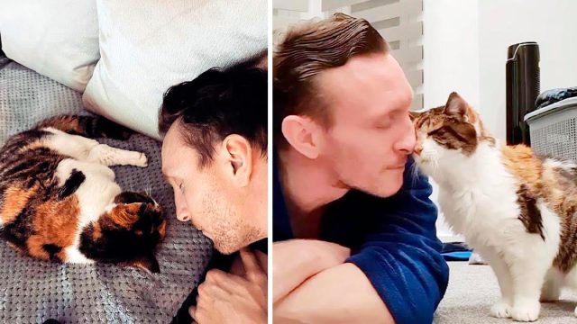 Hombre y gatita han sido inseparables durante 23 años