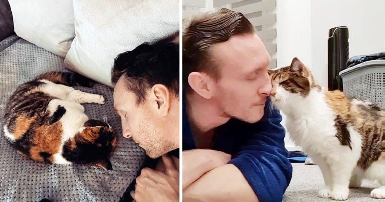 Hombre y gatita han sido inseparables durante 23 años