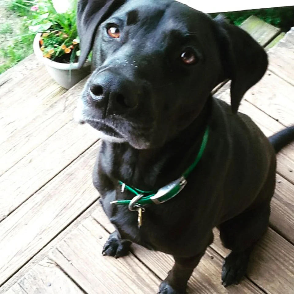 Huey rescatado Huey rescatado