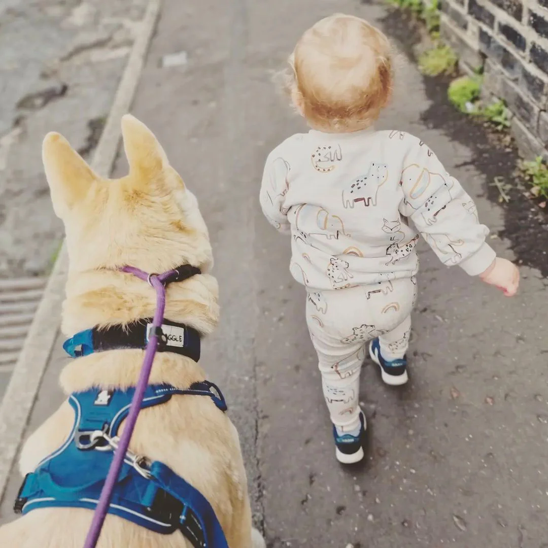 Jaxon y Ludo caminando