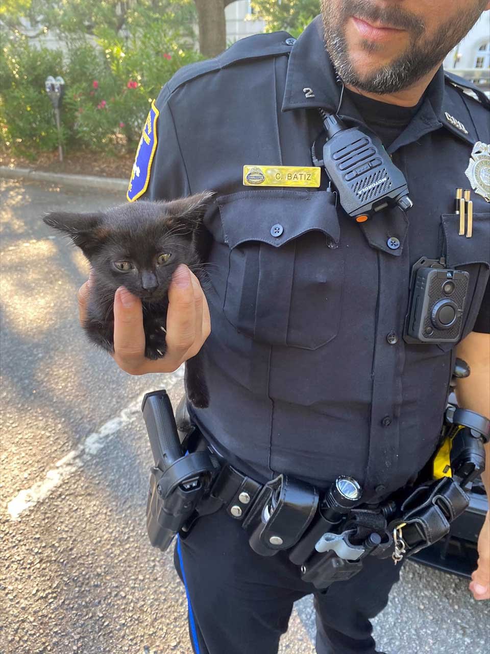 Oficial de policía salva a una pequeña gatita