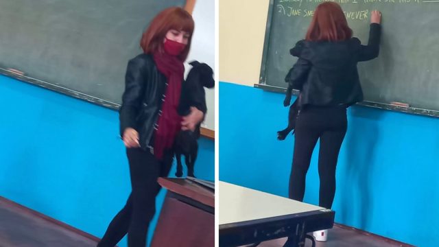 Profesora consuela perrita entro durante clase